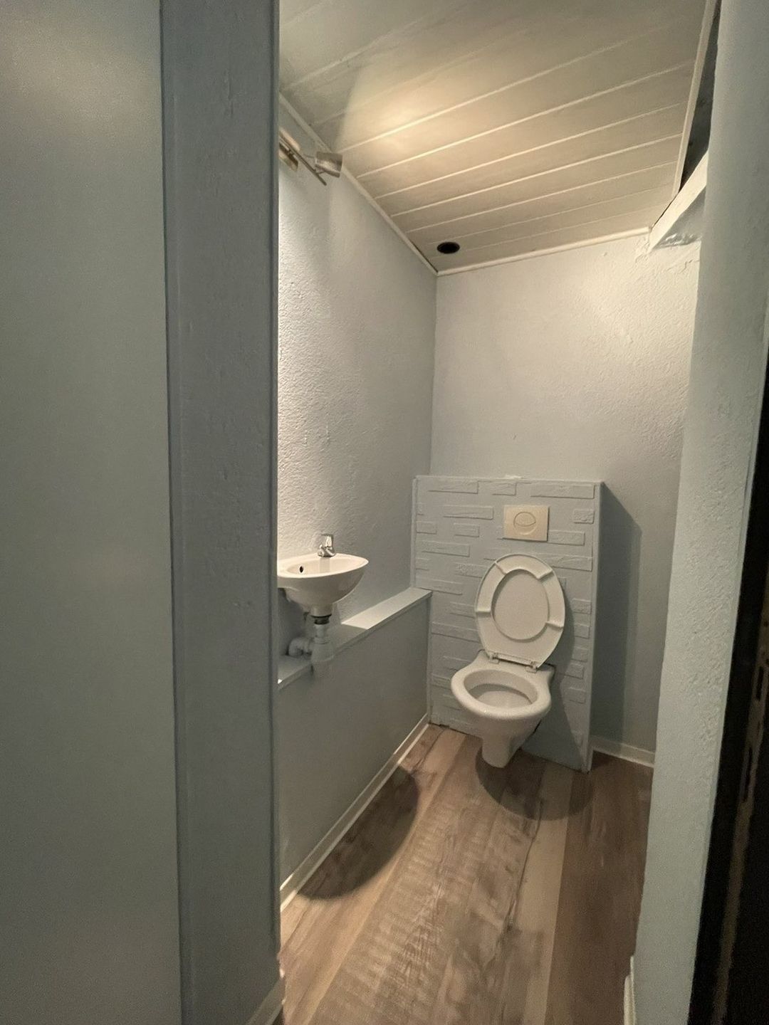 WC repeint à Saleilles : murs et coffrage décoratif en gris bleu, plafond en lambris blanc